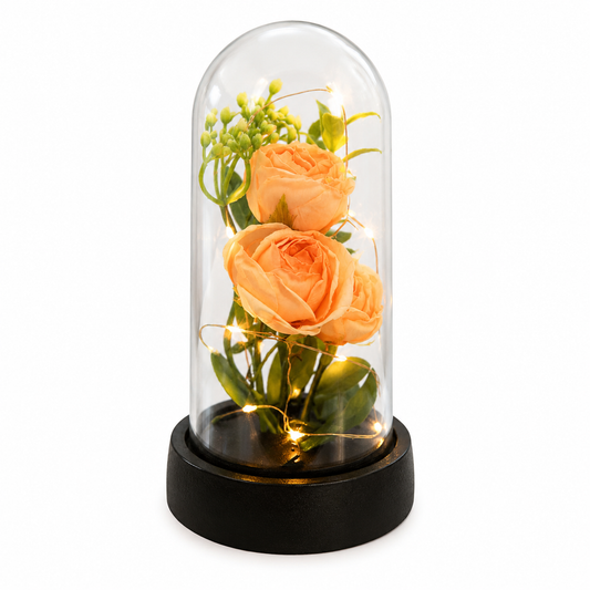 LED Rose Glass Dome with Fairy Lights